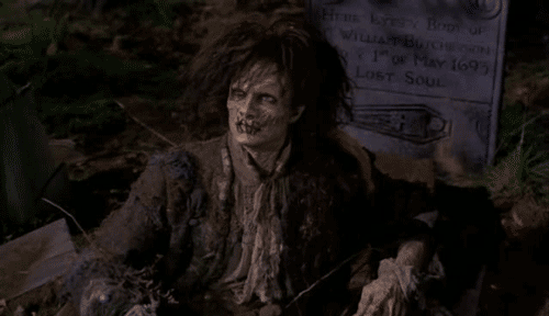 c48f5138fbf962f25925f257ed847507